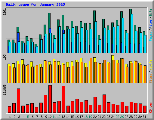 Daily usage for January 2025