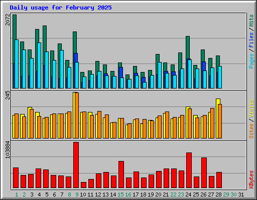 Daily usage for February 2025