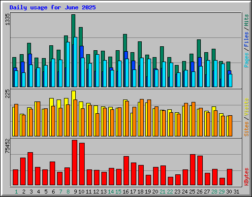 Daily usage for June 2025