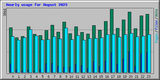 Hourly usage for August 2023