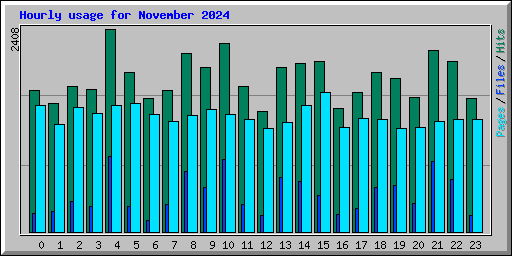 Hourly usage for November 2024