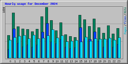 Hourly usage for December 2024