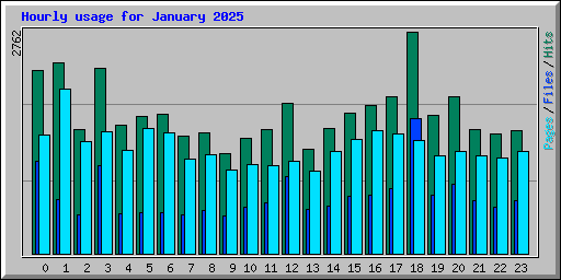 Hourly usage for January 2025