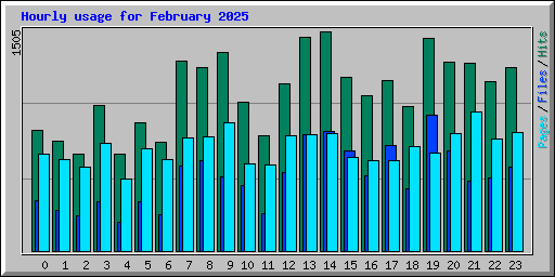 Hourly usage for February 2025