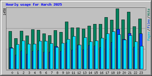 Hourly usage for March 2025