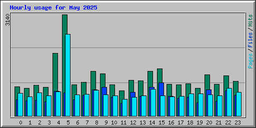 Hourly usage for May 2025