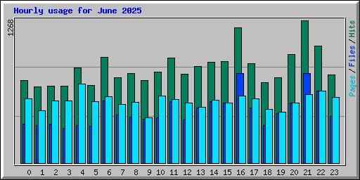Hourly usage for June 2025