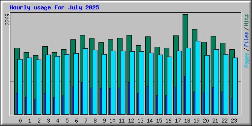 Hourly usage for July 2025