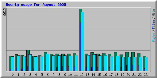 Hourly usage for August 2025