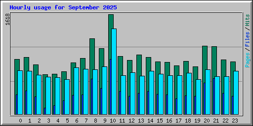 Hourly usage for September 2025