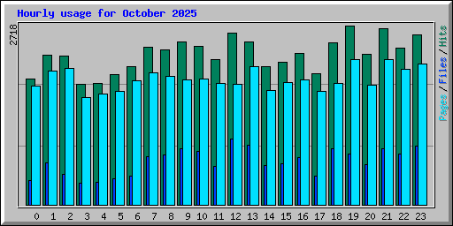 Hourly usage for October 2025