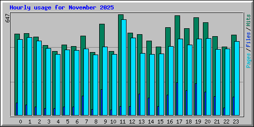 Hourly usage for November 2025