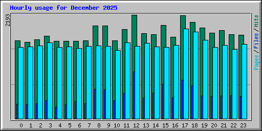Hourly usage for December 2025