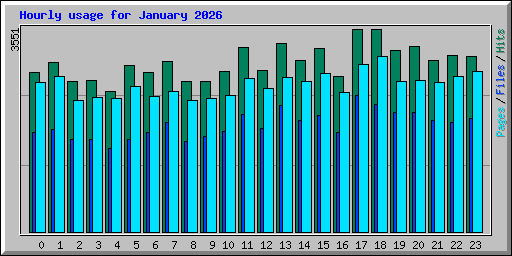 Hourly usage for January 2026