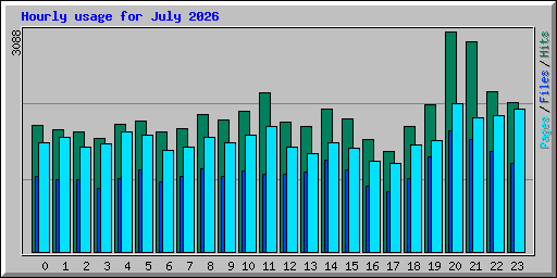 Hourly usage for July 2026