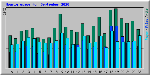 Hourly usage for September 2026